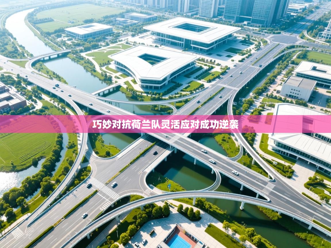 巧妙对抗荷兰队灵活应对成功逆袭  第2张