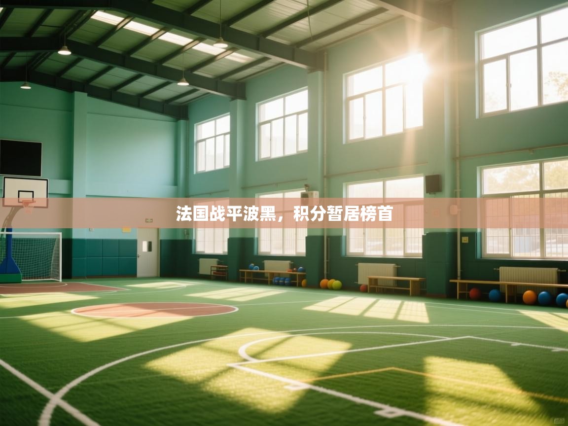 法国战平波黑,积分暂居榜首 第2张