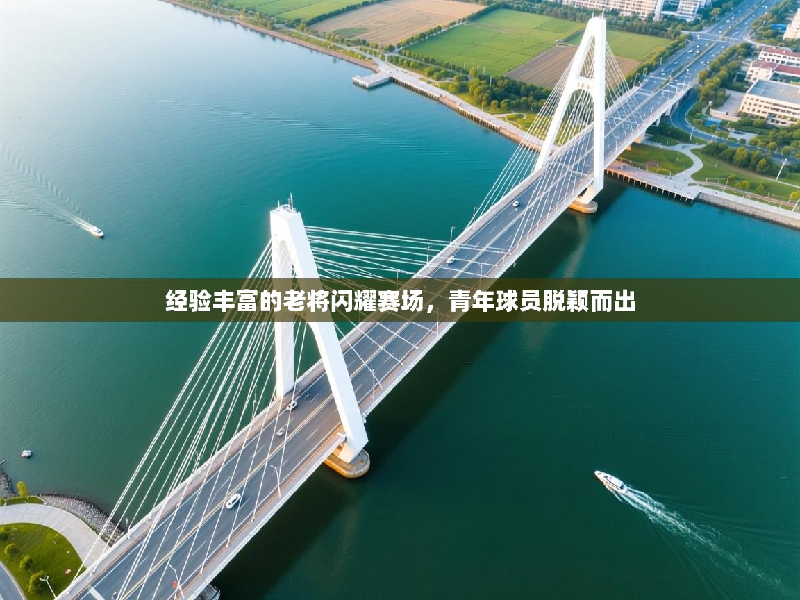 经验丰富的老将闪耀赛场，青年球员脱颖而出  第1张