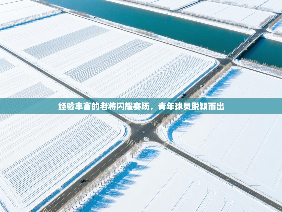 经验丰富的老将闪耀赛场，青年球员脱颖而出  第2张